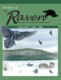 Best of the Raven Volume 3
